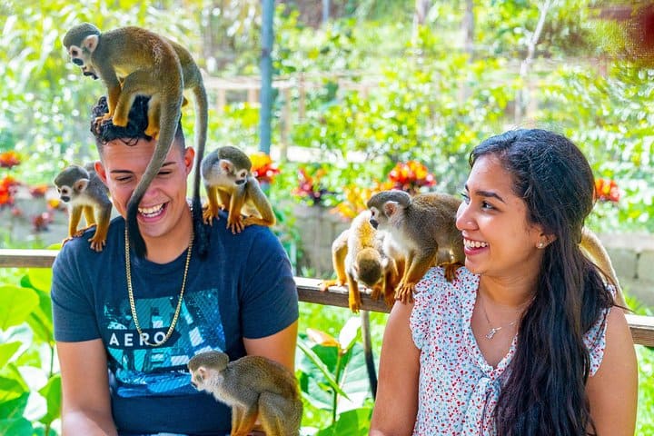 Monkeyland From Breathless Punta Cana All You Need To Know