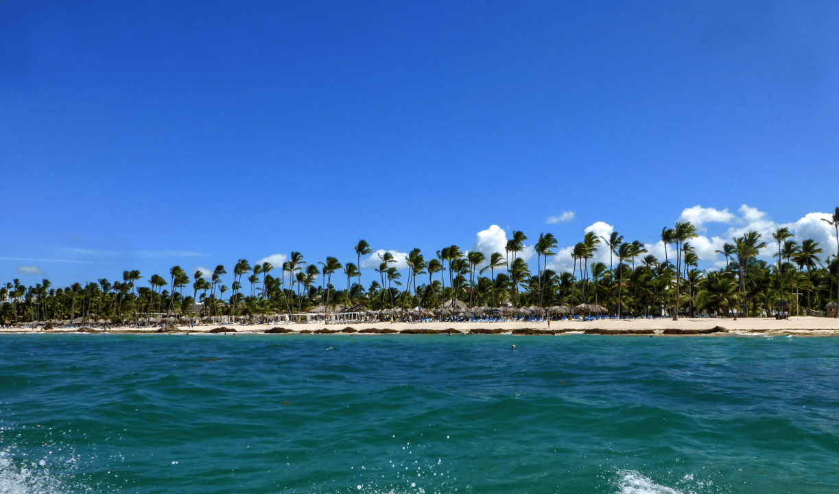 The Ultimate Guide to Excursions and Things to Do in Punta Cana