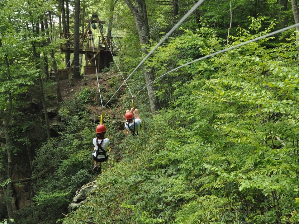 Zip-Line from Bahia Principe Grand Bavaro: All You Need to Know