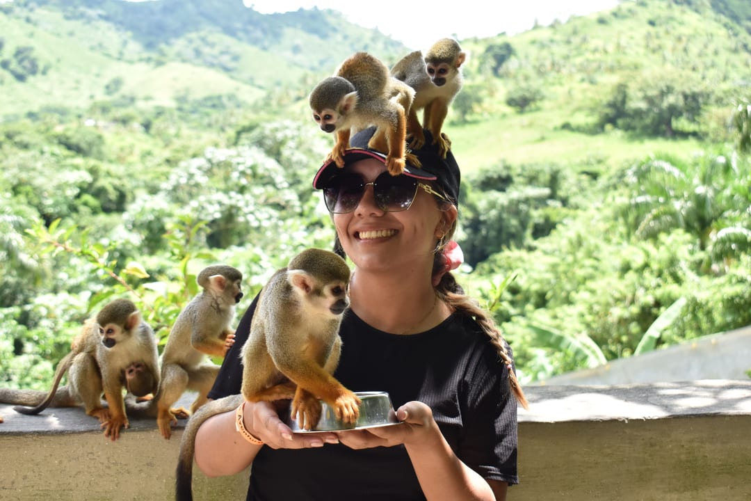Monkey Land Tour from Punta Cana & La Romana Hotels (EN)