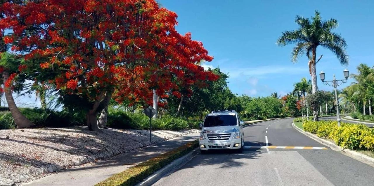 Booking Your Transfer in Punta Cana: Key Tips