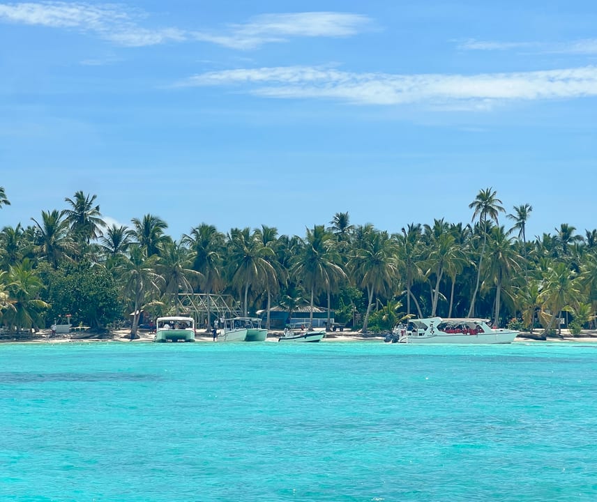 View of Saona Island from the water showing turquoise Caribbean sea, speedboats docked on the white sand shore, and dense coconut palm trees, Dominican Republic