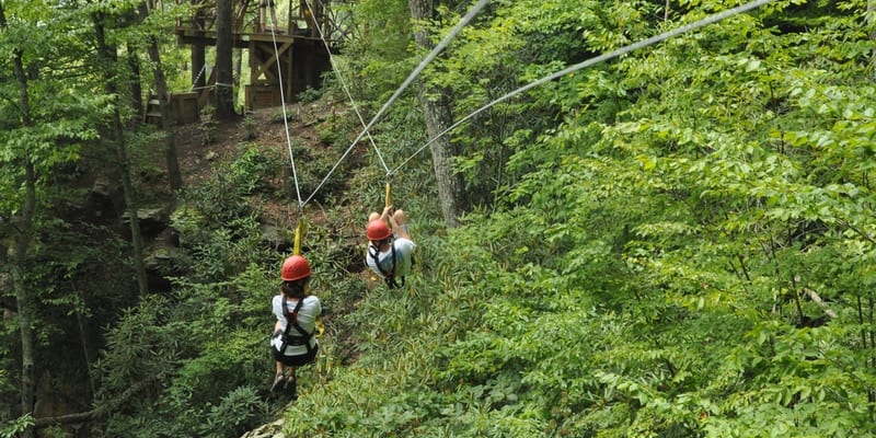 Zip-Line from Bahia Principe Grand Bavaro: All You Need to Know