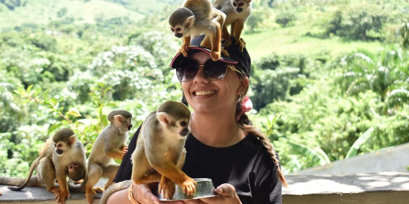 Monkey Land Tour from Punta Cana & La Romana Hotels