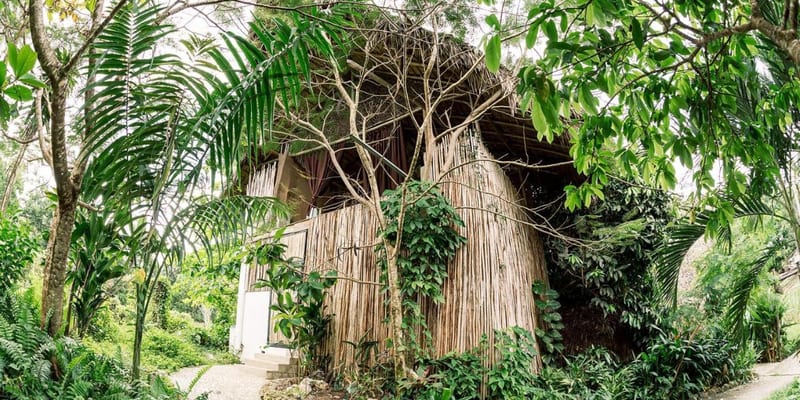 How to get to Ganesh El Valle in Samana from the Santo Domingo Airport