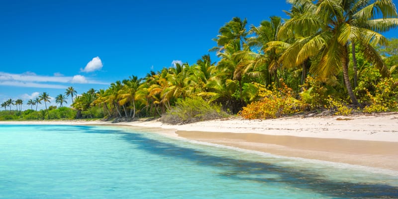Punta Cana Transfer Insights for a Memorable Trip