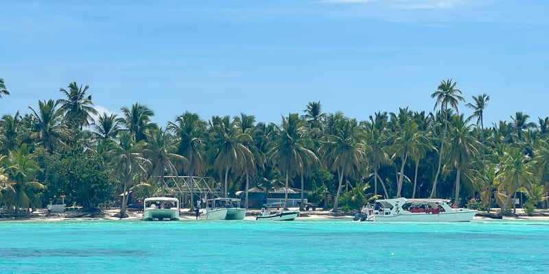 View of Saona Island from the water showing turquoise Caribbean sea, speedboats docked on the white sand shore, and dense coconut palm trees, Dominican Republic