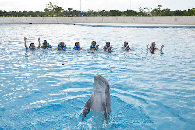  Bahia Principe Luxury Esmeralda: Best Dolphin Encounter Tour