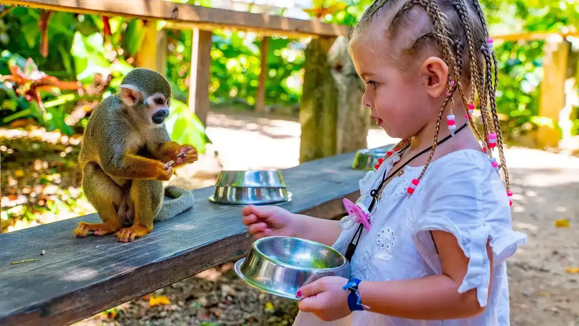 Monkeyland from Excellence Punta Cana: All You Need to Know